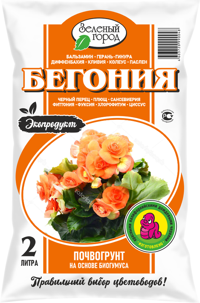 Бегония