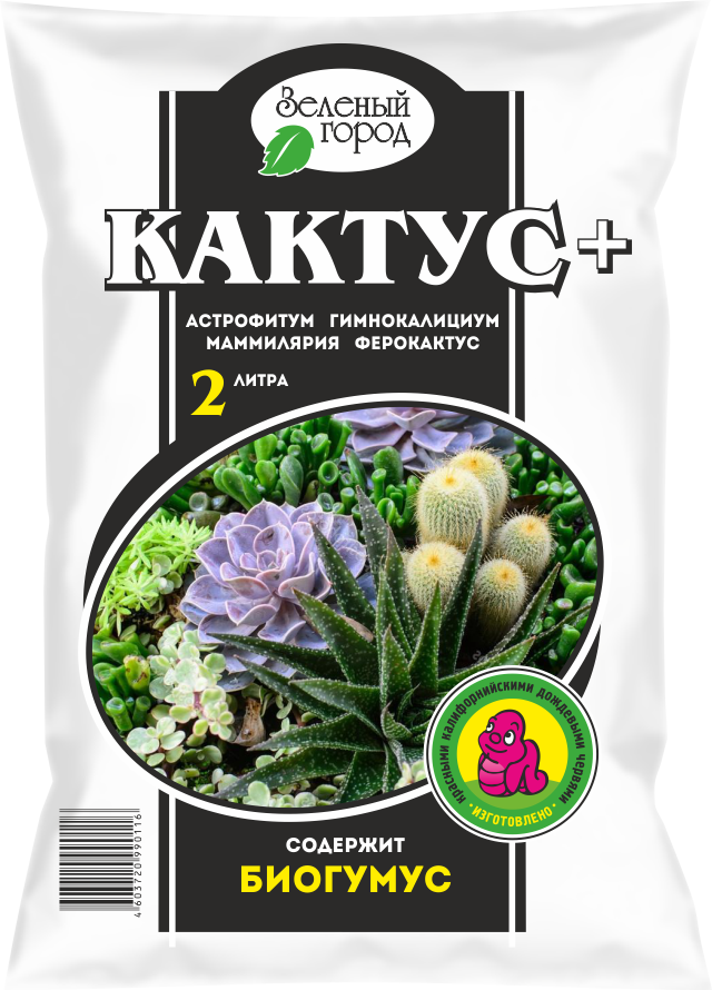 Кактус+