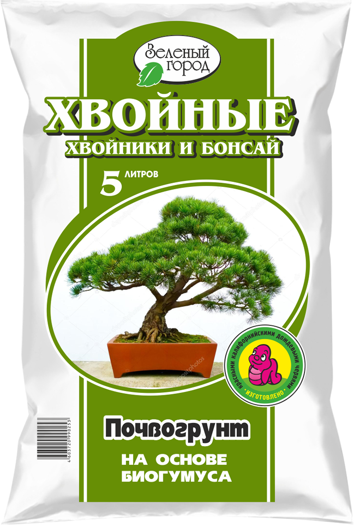 Хвойные и бонсай
