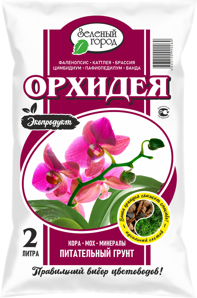 Орхидея