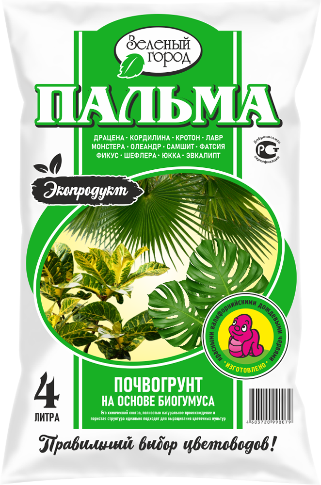 Пальма