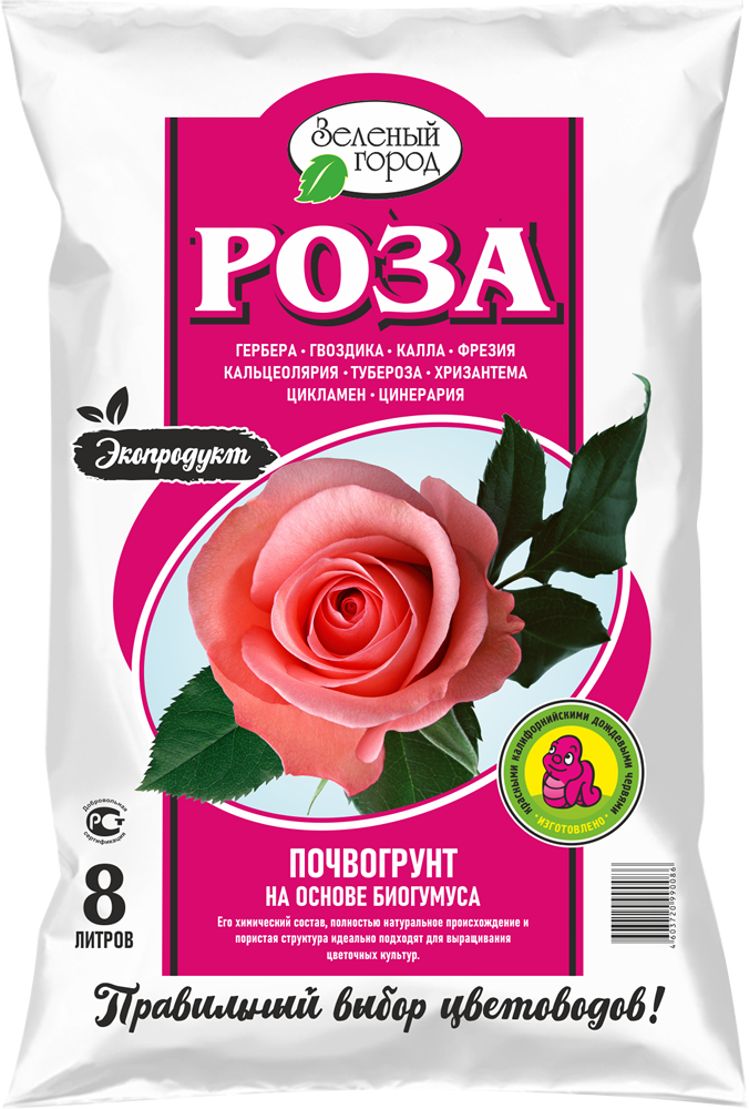 Роза